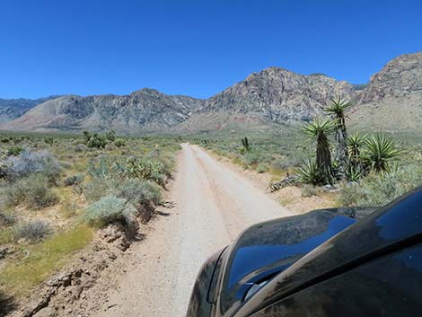 Lone Grapevine Road
