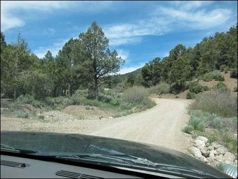 Lovell Canyon Road