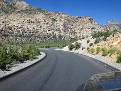 Scenic Loop Road