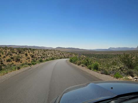 Scenic Loop Road
