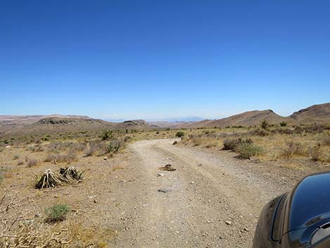 Wildhorse Road
