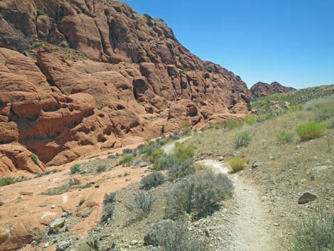 Calico Hills Trail - Sandstone Quarry to Calico 1