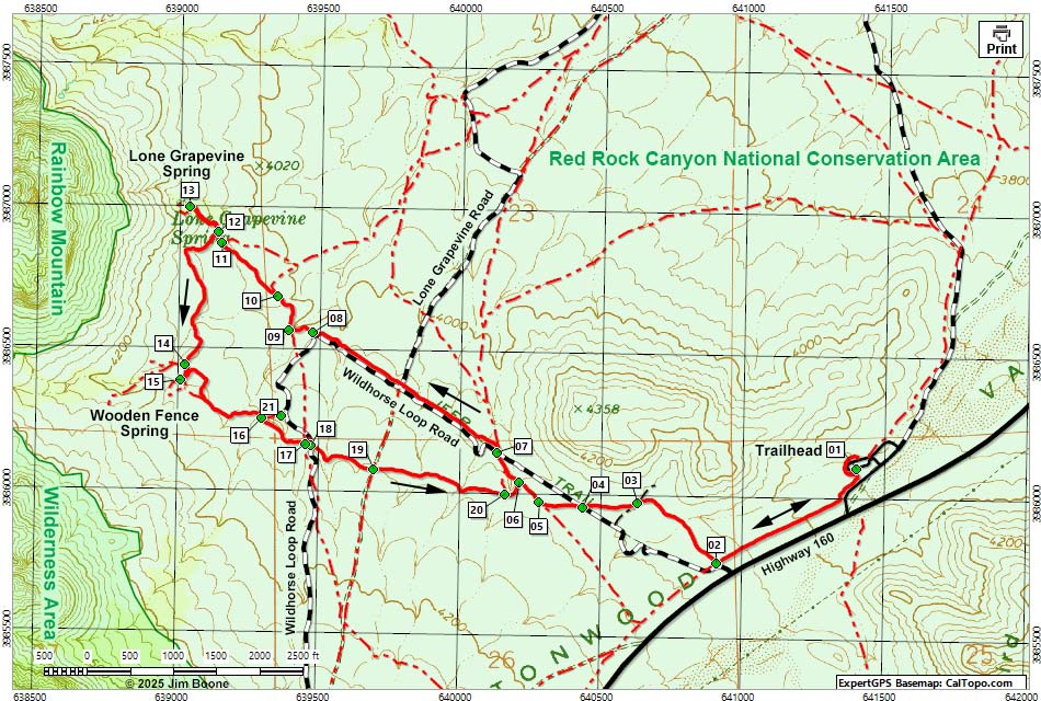 Cottonwood Valley Springs Loop Trail