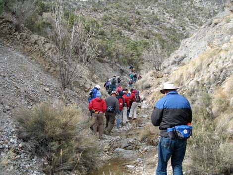 Waterfall Canyon