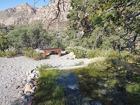 White Rock Spring