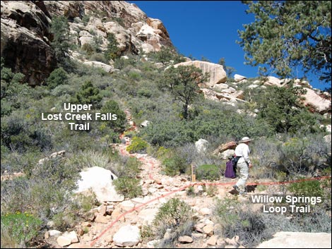 Willow Springs Loop