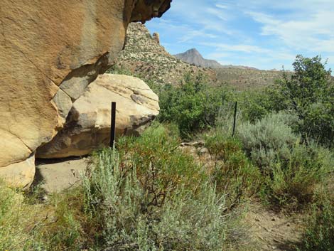Willow Springs Loop
