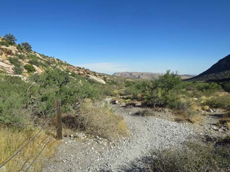 Willow Springs Loop