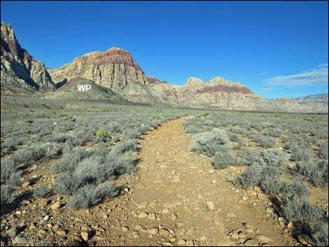 Wilson's Pimple Peak Trail