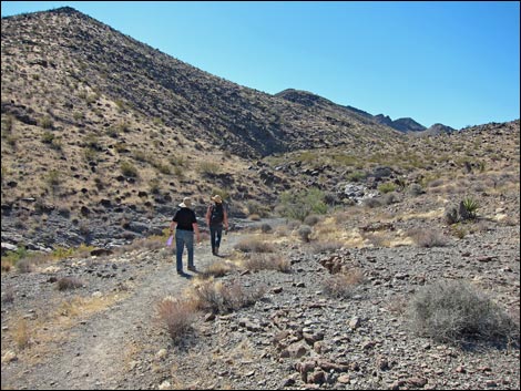 BLM 200 Trail