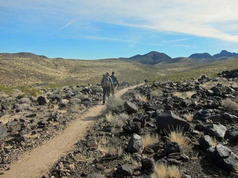McCullough Hills Trail