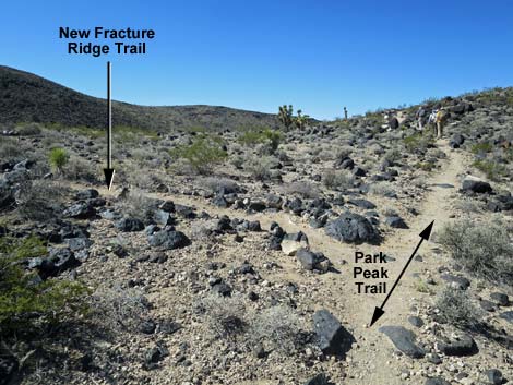 Fracture Ridge