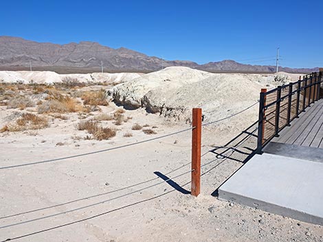 Big Dig Trail