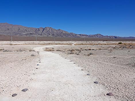 Las Vegas Wash Trail