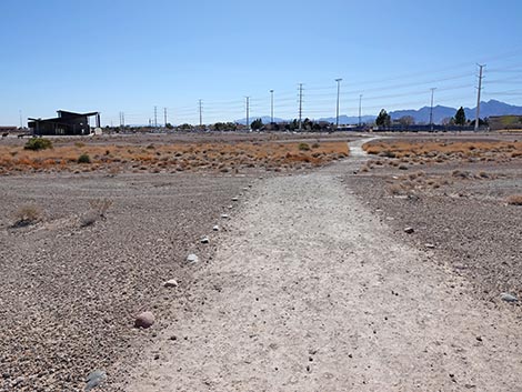 Las Vegas Wash Trail