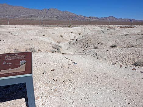 Las Vegas Wash Trail