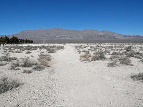 Aliente Loop Trail