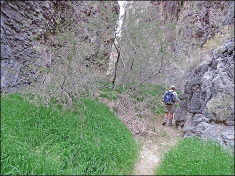 Arrow Canyon