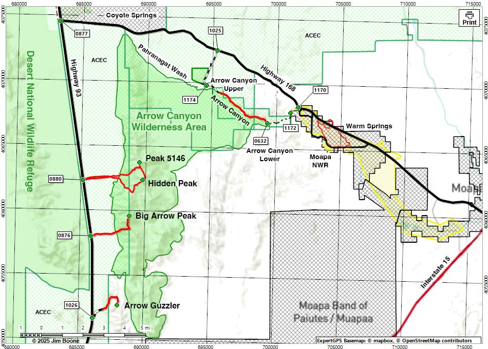 Arrow Canyon Wilderness Area