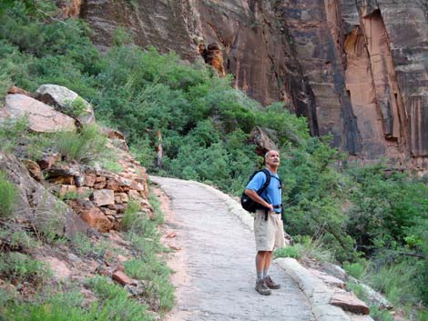 Observation Point Trail