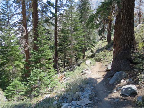 John Muir Trail