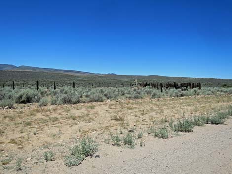 Kane Springs Road