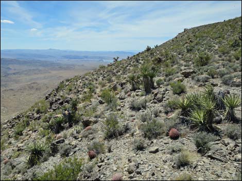 Jumbo Springs Wilderness Area