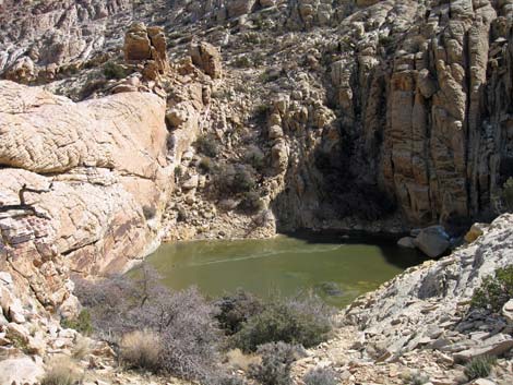 La Madre Mountain Wilderness Area