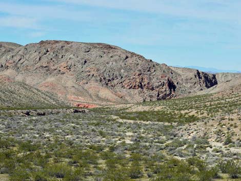 Lime Canyon Wilderness Area