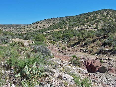 ZT Ranch