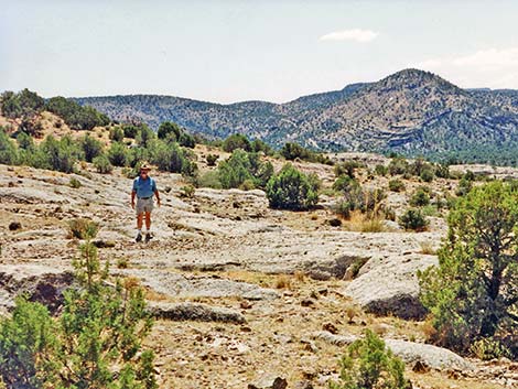 ZT Ranch